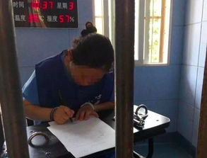 温柔保姆竟是大毒枭 雇主惊魂，家政安全警钟再鸣