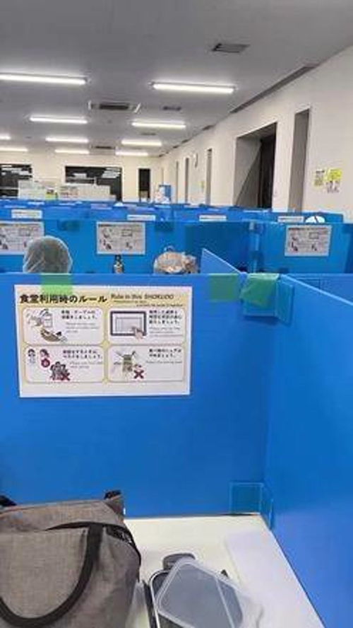 异乡的深夜 在日中国食品厂工人与华人保姆的加班时光